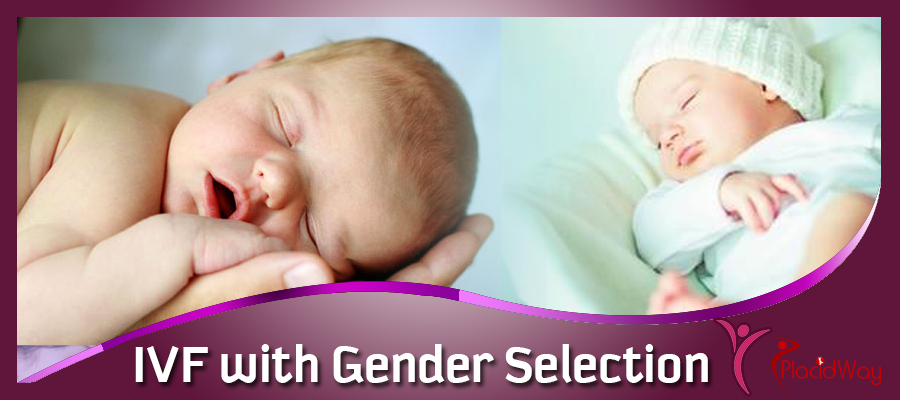 Ivf With Gender Selection Package In The United States 0853