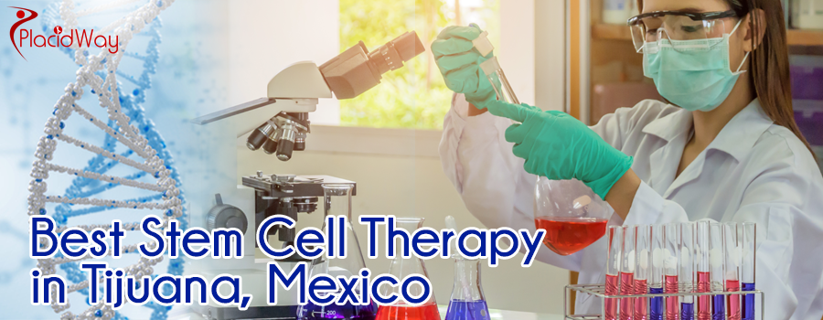 Stem Cell Therapy In Tijuana Mexico Clinics Cost Doctors