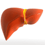 Stem Cell Treatment for Liver Diseases by MexStemCells Clinic in Mexico