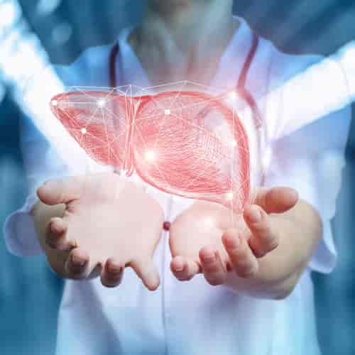 Liver Transplant Package in Istanbul, Turkey - Top Clinics