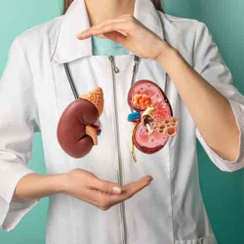 Stem Cell Therapy for Kidney Failure Package in Guadalajara, Mexico by Instituto de Terapia Celular