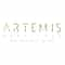 Logo of Artemis Hospitals