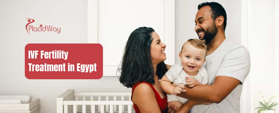 IVF in Egypt