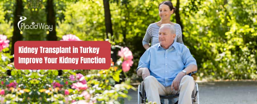 Kidney Transplant in Turkey - Improve Your Kidney Function