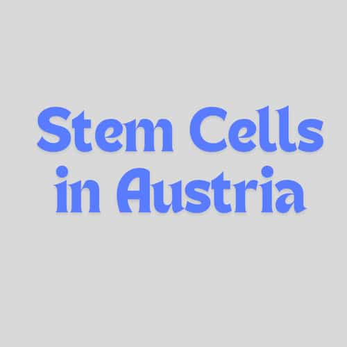 Stem Cells in Austria