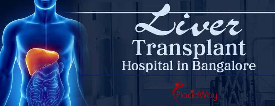 10 Best Liver Transplant Hospitals in the World 2023