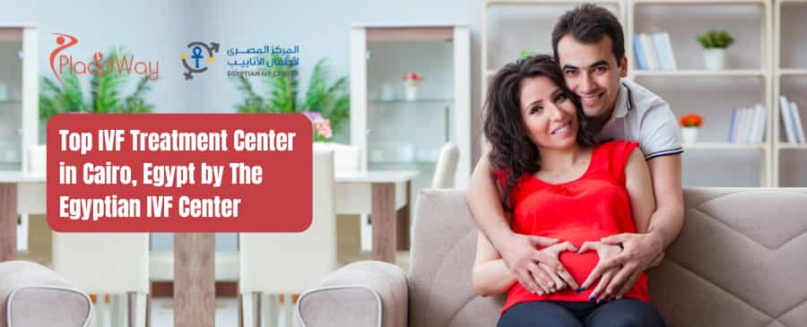 IVF Treatment in Cairo, Egypt by The Egyptian IVF Center