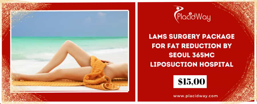 LAMS Surgery Package for Fat Reduction by Seoul 365mc Liposuction Hospital