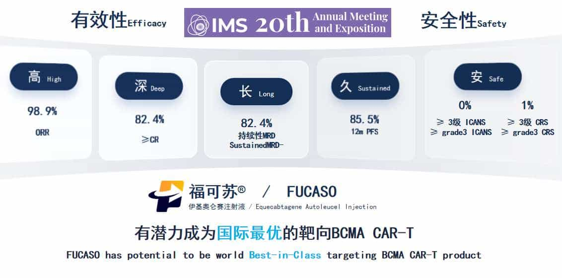 CAR T Cell Therapy in China