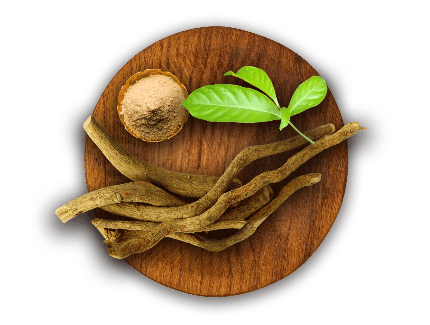 What is Ibogaine Therapy