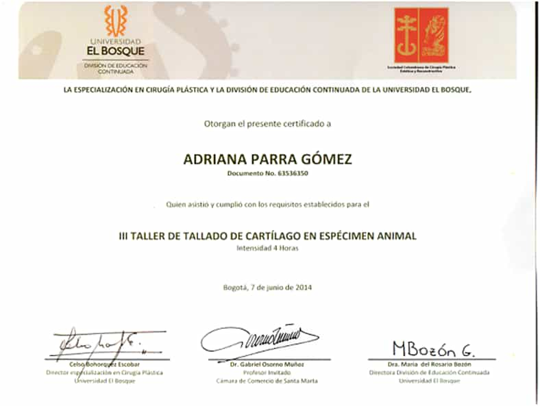 Universidad El Bosque Certificate