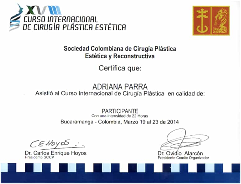 Certificado del Curso Internacional de Cirugía Plástica Estética