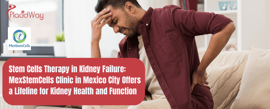 Stem Cells Therapy in Kidney Failure: MexStemCells Clinic in Mexico City Offers a Lifeline for Kidney Health and Function