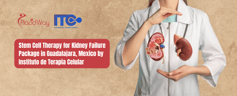 Stem Cell Therapy for Kidney Failure Package in Guadalajara, Mexico by Instituto de Terapia Celular