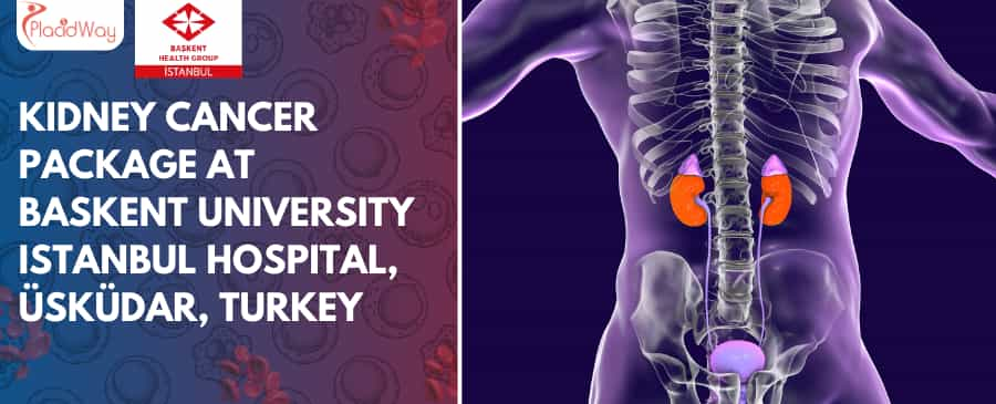 Kidney Cancer Package at Baskent University Istanbul Hospital