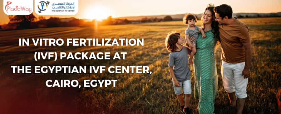 In Vitro Fertilization (IVF) Package at The Egyptian IVF Center, Cairo, Egypt