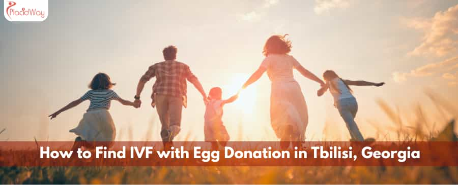 How to Find IVF with Egg Donation in Tbilisi, Georgia