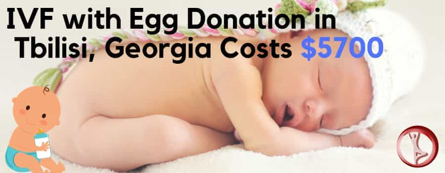 Best IVF With Egg Donation Package in Tbilisi, Georgia