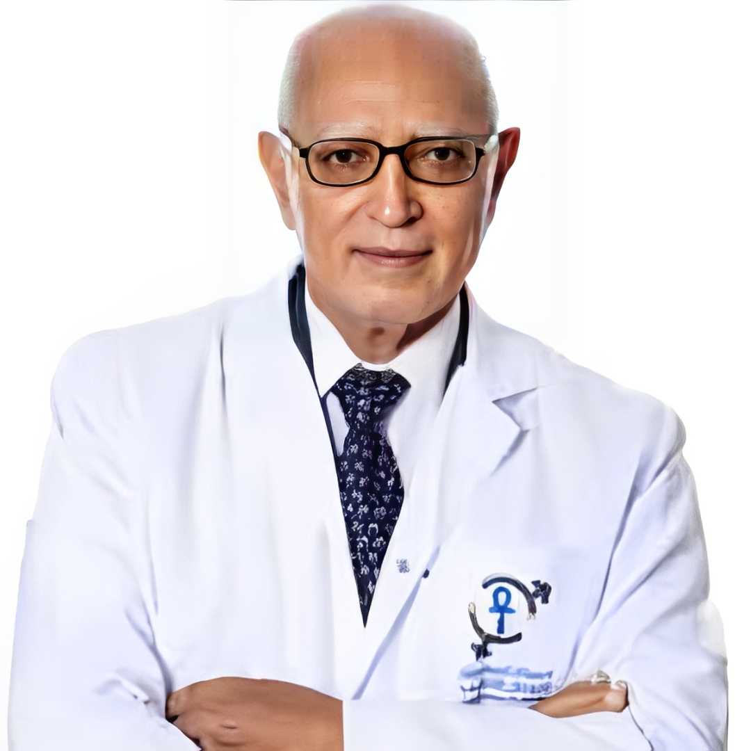 Professor Gamal Abou Elseror