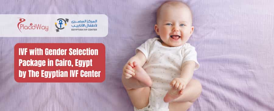 IVF with Gender Selection Package in Cairo, Egypt by The Egyptian IVF Center