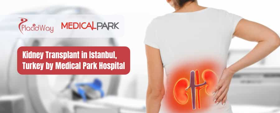 Kidney Transplant in Istanbul, Turkey by Medical Park Hospital