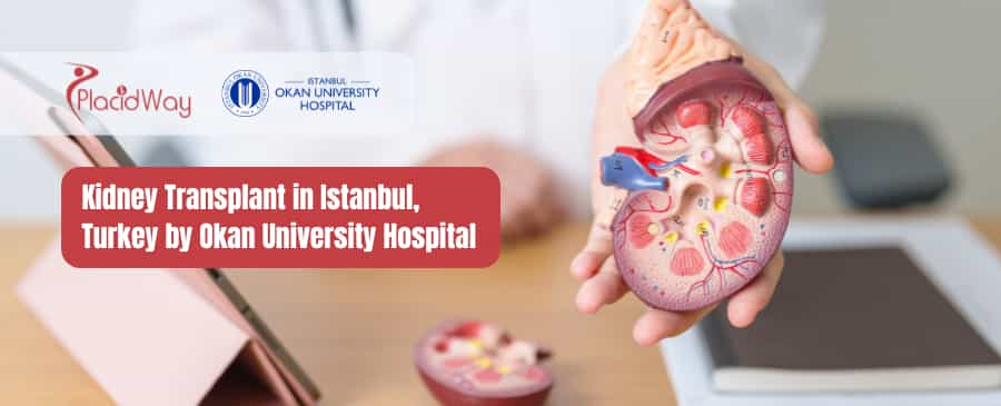 Kidney Transplant in Istanbul, Turkey by Okan University Hospital