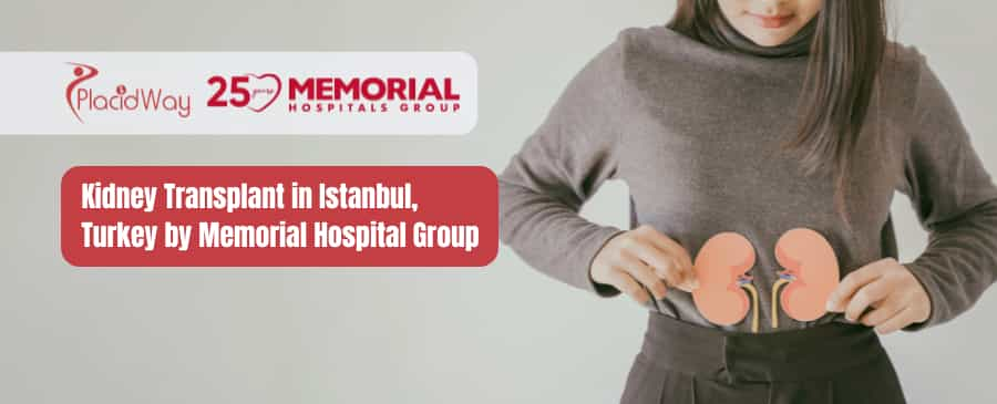 Kidney Transplant in Istanbul, Turkey by Memorial Hospital Group