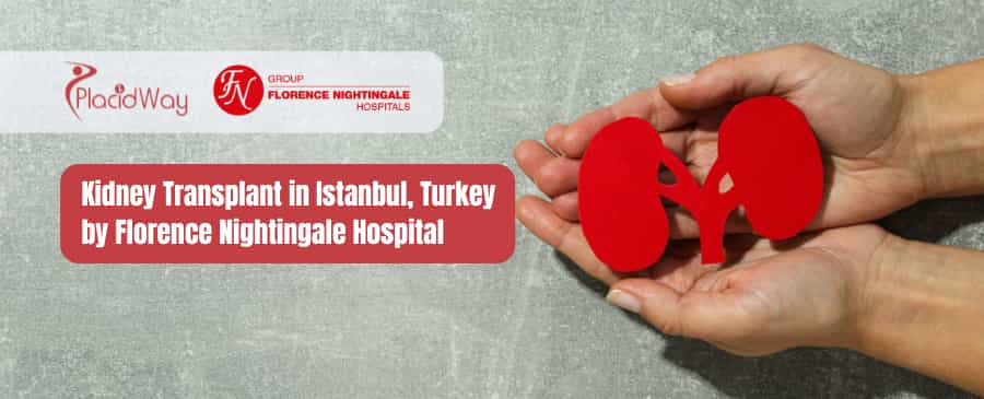 Kidney Transplant in Istanbul, Turkey by Florence Nightingale Hospital