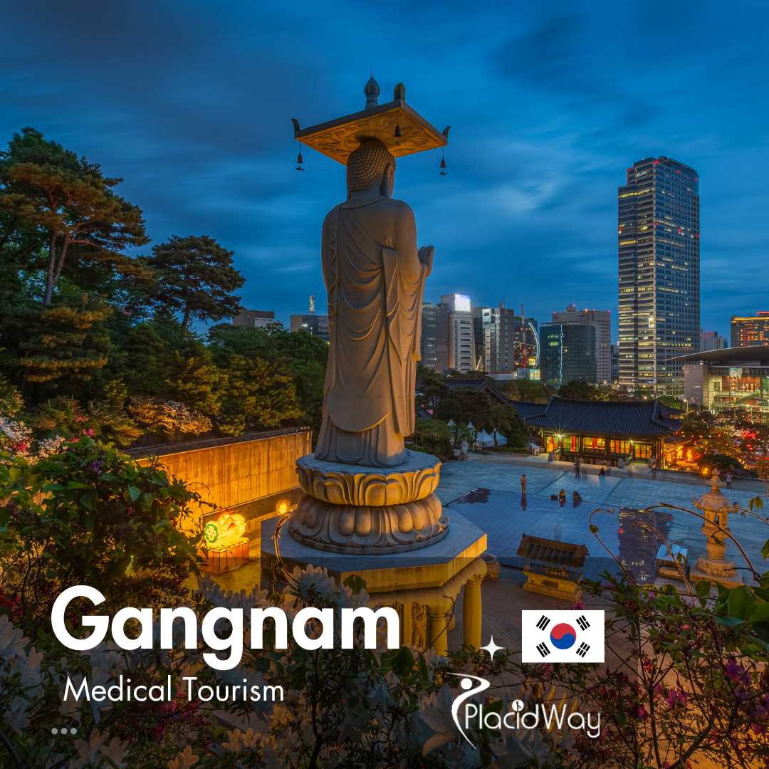 Gangnam Medical Tourism