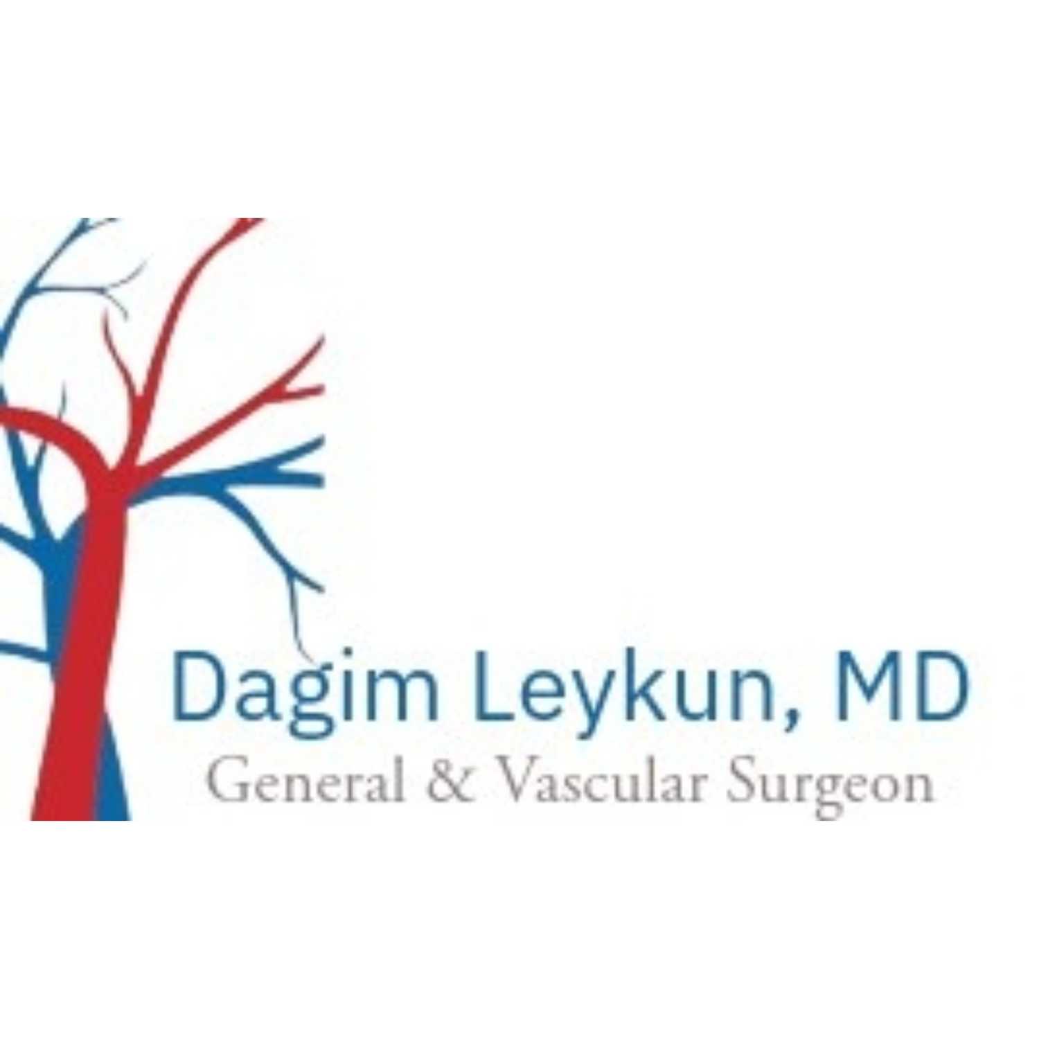 Dr. Dagim Leykuns - Vascular Practice