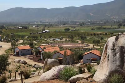 wellness treatment in Valle de Guadalupe, Mexico