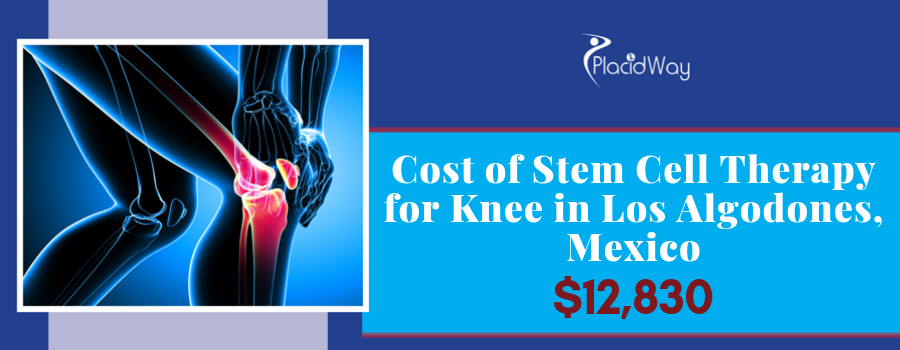 stem cell treatment cost