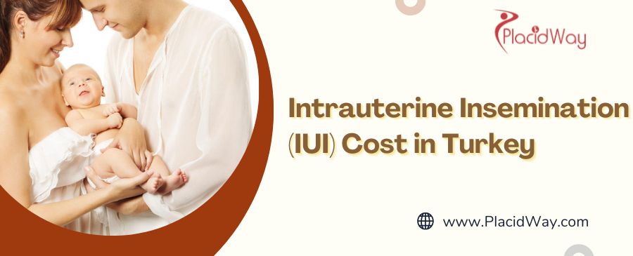 IUI Cost in Turkey