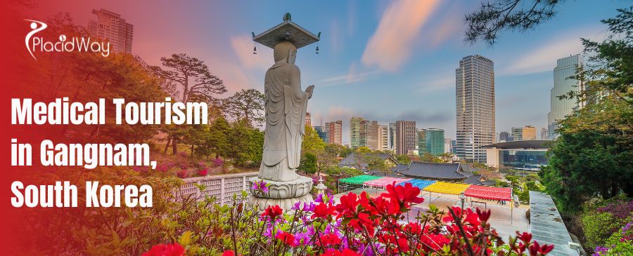 Medical Tourism in Gangnam, South Korea