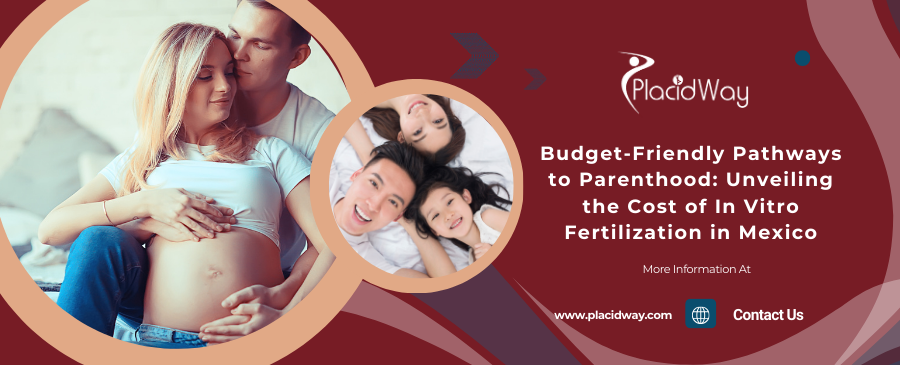 Budget-Friendly Pathways to Parenthood: Unveiling the Cost of In Vitro Fertilization in Mexico