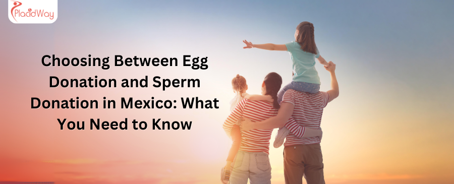 Choosing Between Egg Donation and Sperm Donation in Mexico: What You Need to Know