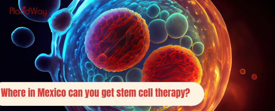 where in mexico can you get stem cell therapy