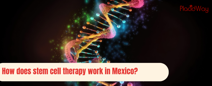 Stem cell therapy work in Mexico