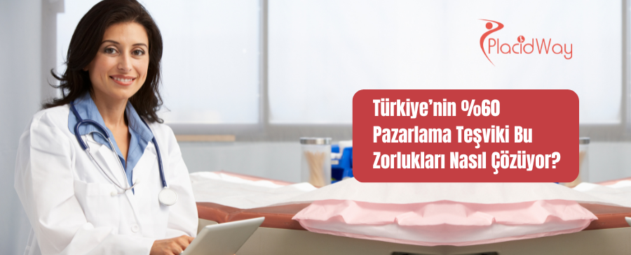 Türkiye’nin %60 Pazarlama Teşviki Bu Zorlukları Nasıl Çözüyor?