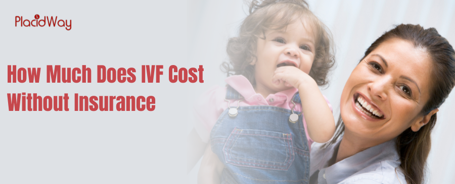 How Much Does Ivf Cost Without Insurance