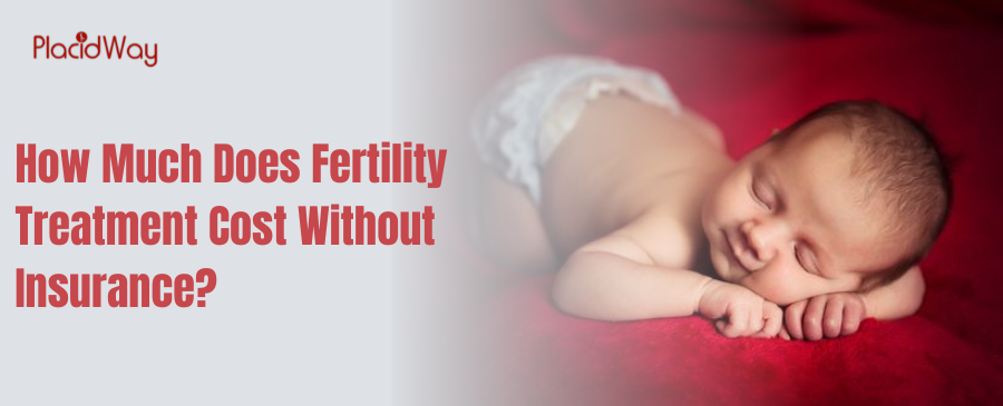 How Much Does Fertility Treatment Cost Without Insurance