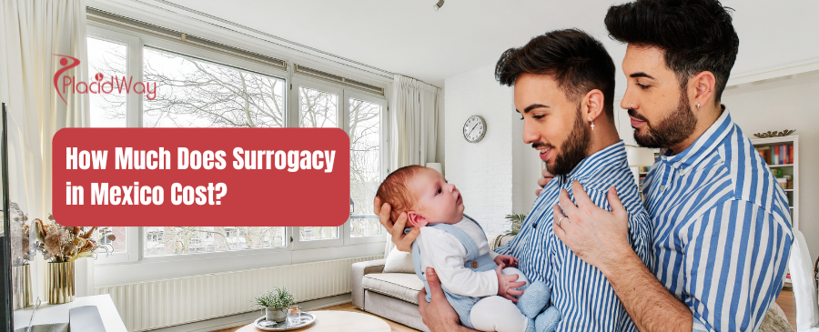 How Much is Surrogacy in Mexico